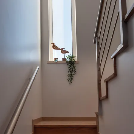 Проживание в семье Fika *